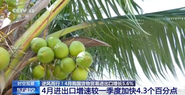 外贸进出口表现亮眼背后的底气麻将胡了游戏关税战下 中国(图3)